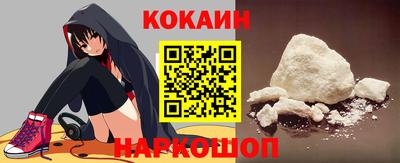 крисы Можга