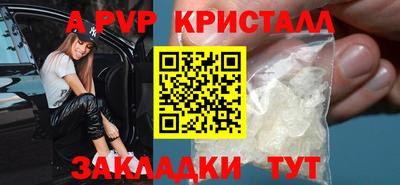 крисы Можга
