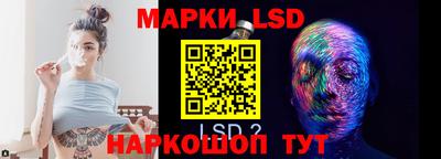 крисы Можга