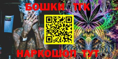 крисы Можга