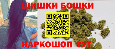 крисы Можга