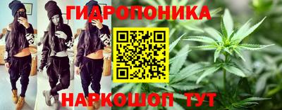 крисы Можга