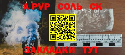крисы Можга