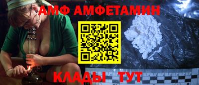 крисы Можга