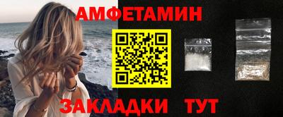 крисы Можга