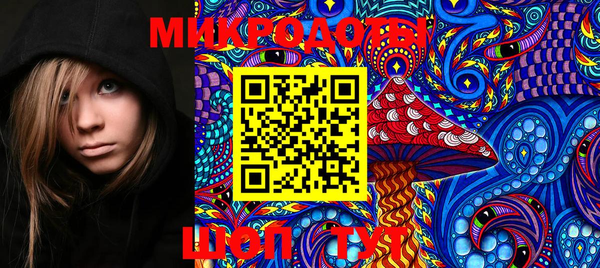 Галлюциногенные грибы Psilocybine cubensis  Вход с VPN  Тулун  Псилоцибиновые грибы Cubensis 